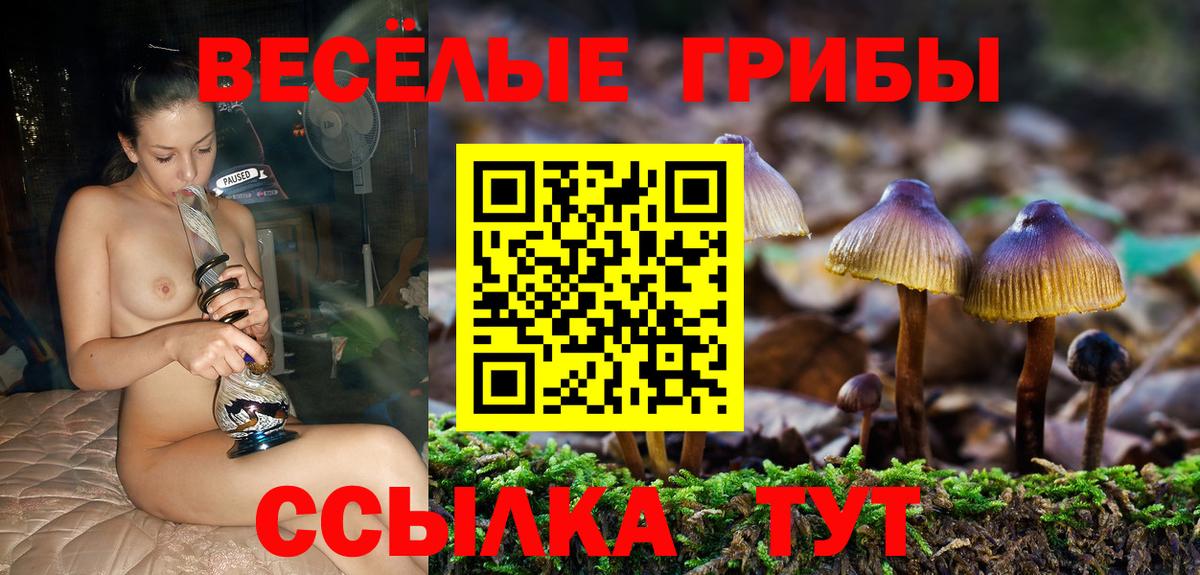 закладки  Вход с VPN  Каменск-Уральский  Галлюциногенные грибы Psilocybe 